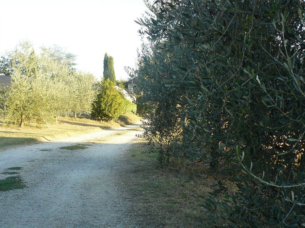 Bed and Breakfast Bosco Ai Marzi Poggibonsi Exterior foto